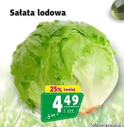 Prim Market Sałata lodowa oferta