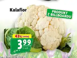 Prim Market Kalafior oferta