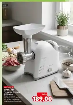Kaufland Maszynka do mięsa Esperanza Wellington oferta