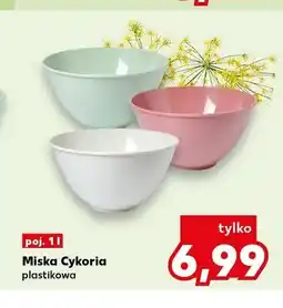 Kaufland Miska plastikowa Cykoria oferta