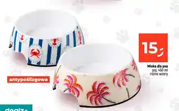 Dealz Miska dla psa oferta
