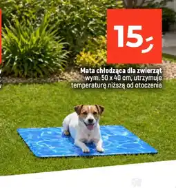 Dealz Mata chłodząca dla zwierząt oferta