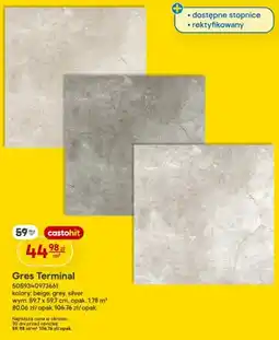 Castorama Gres Terminal beige oferta