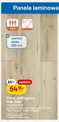 Castorama Panel podłogowy Dąb Gaja oferta