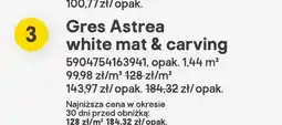 Castorama Gres Astrea white mat & carving oferta