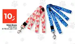 Dealz Smycz dla psa oferta