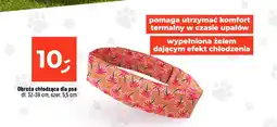 Dealz Obroża chłodząca dla psa oferta