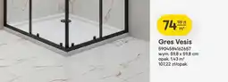 Castorama Gres Vesis oferta