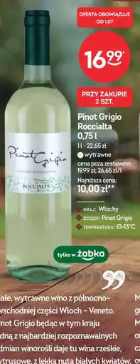 Żabka Pinot Grigio Roccialta oferta