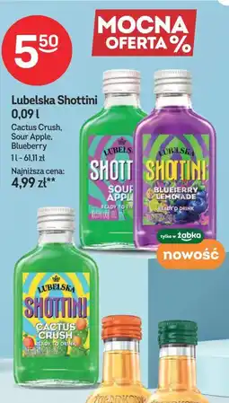 Żabka Lubelska Shottini oferta