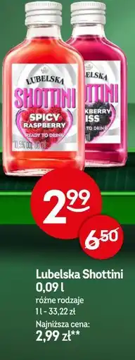 Żabka Lubelska Shottini oferta