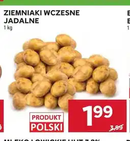 Stokrotka Ziemniaki wczesne jadalne oferta