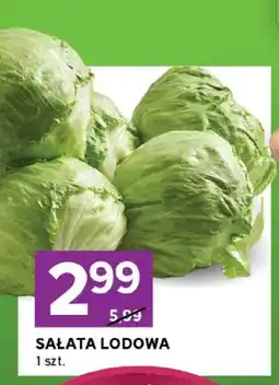 Stokrotka Sałata lodowa oferta