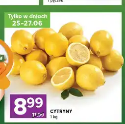 Stokrotka Cytryny oferta