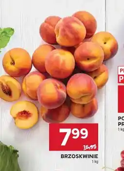 Stokrotka Brzoskwinie oferta