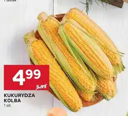 Stokrotka Kukurydza kolba oferta