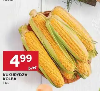 Stokrotka Kukurydza kolba oferta