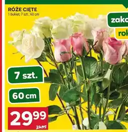 Stokrotka Róże cięte bukiet oferta