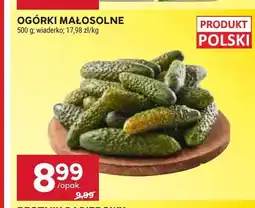 Stokrotka Ogórki małosolne oferta