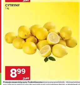 Stokrotka Cytryny oferta