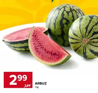 Stokrotka Arbuz oferta
