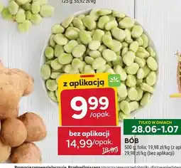 Stokrotka Bób oferta
