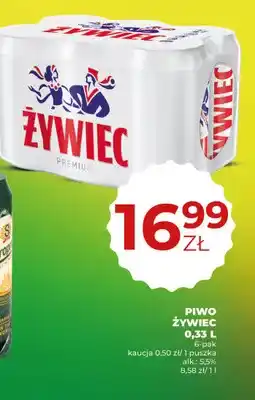 Duży Ben Piwo Żywiec Premium 6-pak oferta