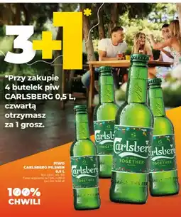 Duży Ben Piwo Carlsberg Pilsner oferta