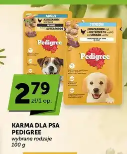 ABC Karma dla psa Pedigree Junior z kurczakiem i ryżem w galaretce oferta