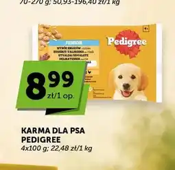 ABC Karma dla psa Pedigree Junior wybór smaków w galaretce 4-pak oferta