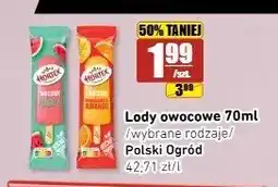 API MARKET Lody owocowe arbuz Hortex oferta