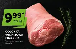 ABC Golonka wieprzowa przednia oferta
