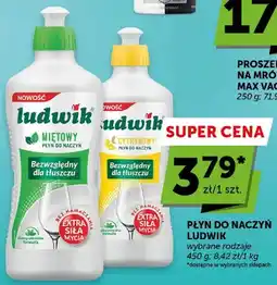 ABC Płyn do naczyń miętowy Ludwik oferta