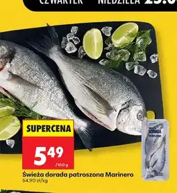 Biedronka Świeża dorada patroszona Marinero oferta