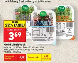 Biedronka Kiełki brokułu Vital Fresh oferta