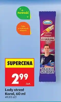 Biedronka Lody strzał Koral oferta