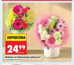 Biedronka Bukiet w kolorowej osłonce oferta