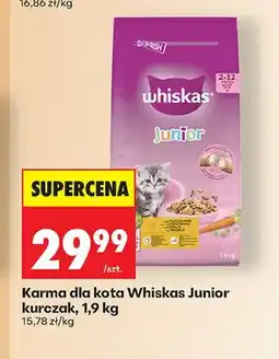 Biedronka Karma dla kota Whiskas Junior kurczak oferta