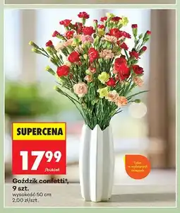 Biedronka Goździk confetti 9 szt oferta