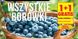 Biedronka Borówki oferta