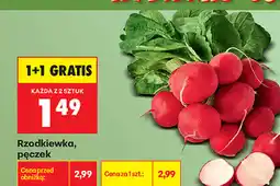 Biedronka Rzodkiewka, pęczek oferta