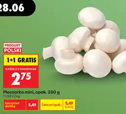 Biedronka Pieczarka mini, opak oferta
