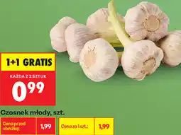 Biedronka Czosnek młody, szt oferta