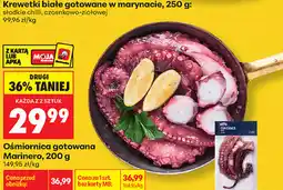 Biedronka Ośmiornica gotowana Marinero oferta