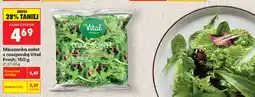 Biedronka Mieszanka sałat z roszponką Vital Fresh oferta