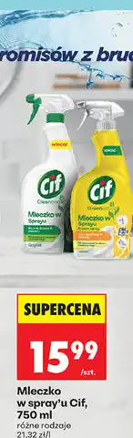 Biedronka Mleczko w spray'u Cif oferta
