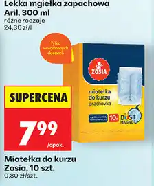 Biedronka Miotelka do kurzu Zosia, 10 szt oferta