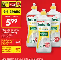 Biedronka Płyn do naczyń Ludwik oferta