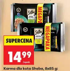 Biedronka Karma dla kota Sheba oferta