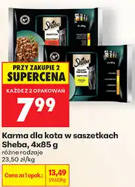 Biedronka Karma dla kota w saszetkach Sheba oferta